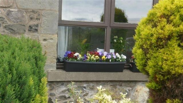 Scooniehill Farm House B&B St Andrews Exterior foto