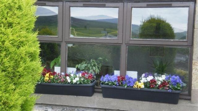 Scooniehill Farm House B&B St Andrews Zimmer foto
