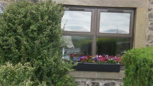 Scooniehill Farm House B&B St Andrews Zimmer foto